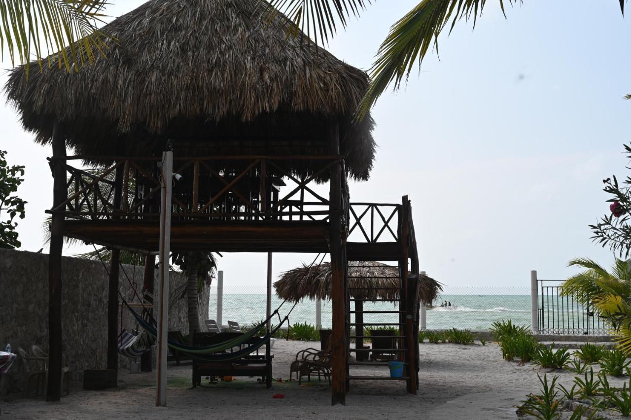 La Casa Del Mexicano Celestun Ngoại thất bức ảnh