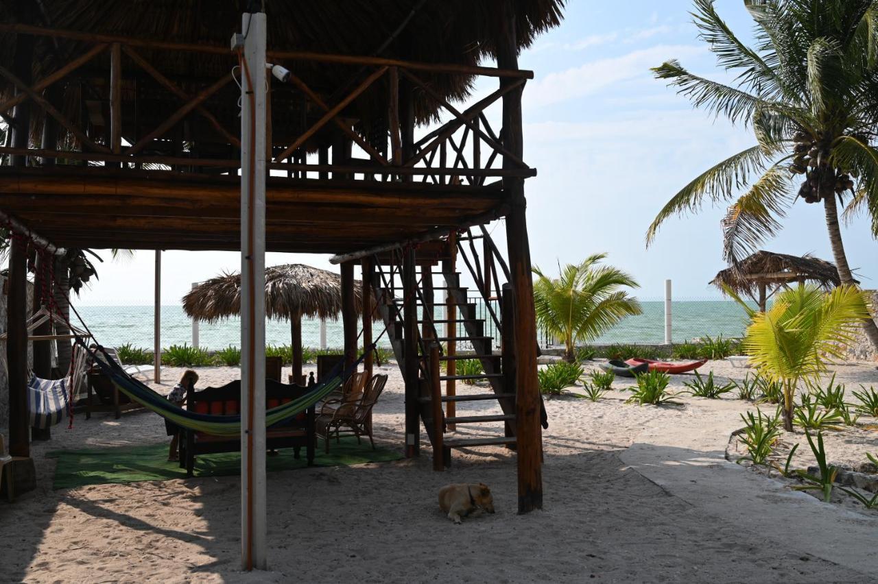 La Casa Del Mexicano Celestun Ngoại thất bức ảnh